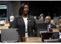 Cámara de Diputados rendirá honras fúnebres a Inés Bryan este domingo