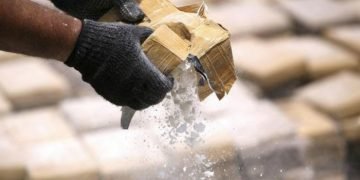 Desmantelan 16 laboratorios con más de 7 toneladas de drogas en Venezuela