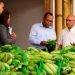 Agricultura beneficia a 430 mil personas con ventas de plátano y guineo