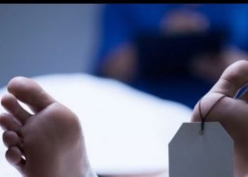 Hombre mata a su esposa, sus dos hijos y luego se suicida.