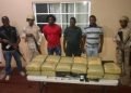 CESFRONT decomisa 75 libras de supuesta marihuana en pedernales