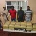 CESFRONT decomisa 75 libras de supuesta marihuana en pedernales