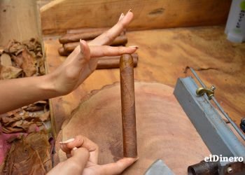 Las manos de mujeres dan forma a la industria del tabaco dominicano