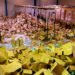 VIDEO: Empresario es detenido por robar dos millones de mascarillas y material sanitario en España