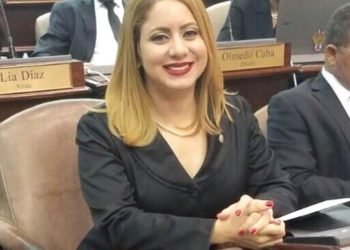 Diputada Gloria Reyes presenta propuesta para regular los días de compras en los comercios