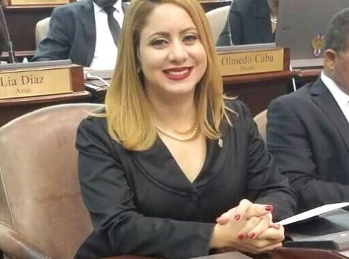 Diputada Gloria Reyes presenta propuesta para regular los días de compras en los comercios