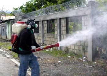 En medio del combate contra el COVID-19, los casos de dengue y malaria se disparan en República Dominicana