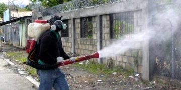 En medio del combate contra el COVID-19, los casos de dengue y malaria se disparan en República Dominicana