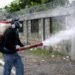 En medio del combate contra el COVID-19, los casos de dengue y malaria se disparan en República Dominicana