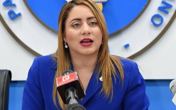 Diputada Gloria Reyes presenta resolución para facilitar el acceso y uso a tecnologías para combatir el COVID-19