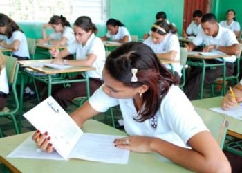 Colegios privados piden a Educación permitirles concluir año escolar de forma virtual