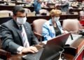Cámara de Diputados sesionará hoy para extensión del estado emergencia