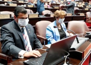 Cámara de Diputados sesionará hoy para extensión del estado emergencia