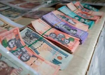 Economistas consultados divididos ante viabilidad del uso de los fondos de pensiones