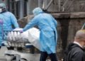 El continente americano alcanza los 3 millones de contagios de COVID