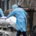 El continente americano alcanza los 3 millones de contagios de COVID