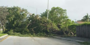 Ventarrones derriban árboles, postes y dejan sin electricidad región del Cibao