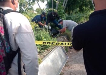 Hallan cadáver con 42 puñaladas en uno de los jardines de Faro a Colón