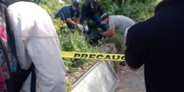 Hallan cadáver con 42 puñaladas en uno de los jardines de Faro a Colón
