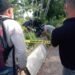 Hallan cadáver con 42 puñaladas en uno de los jardines de Faro a Colón