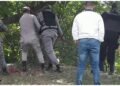 Identifican recluso ultimado a tiros por agentes en La Vega