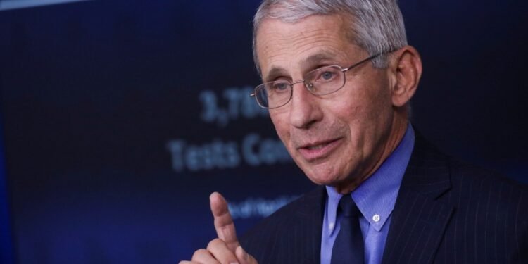 Fauci considera probable que la cepa inglesa de coronavirus ya esté en EE.UU.
