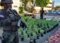 Desmantelan invernaderos para el cultivo y empaque de marihuana en Santo Domingo Este