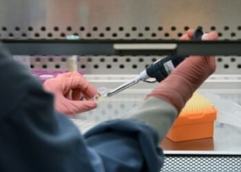 Los casos nuevos de infección por el VIH aumentaron más del 20% en AL
