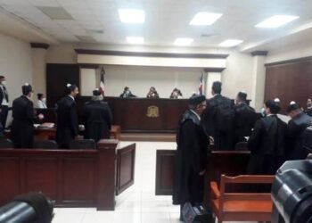 TSA declara inadmisible acción de amparo PLD que buscaba un asiento en el CNM