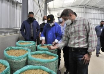 Ministerio de Agricultura invierte en la recuperación del sector cafetalero