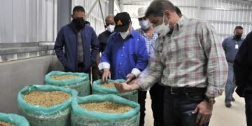 Ministerio de Agricultura invierte en la recuperación del sector cafetalero
