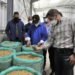Ministerio de Agricultura invierte en la recuperación del sector cafetalero