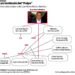 Es probable que la cabeza de la red de corrupción no sea el Pulpo, dice Pepca