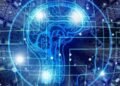¿Cómo gestiona nuestro cerebro las situaciones extremas?