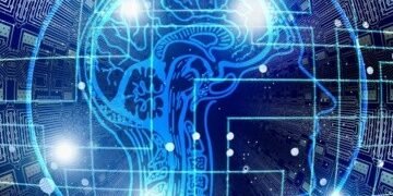 ¿Cómo gestiona nuestro cerebro las situaciones extremas?