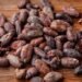 Del grano a la tableta, el cacao de Haití busca un lugar en el mercado