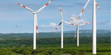 Colocan US$ 262.7 MM en bonos verdes