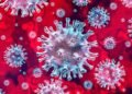 CDC de Estados Unidos pone a RD en nivel de alerta 4 por coronavirus