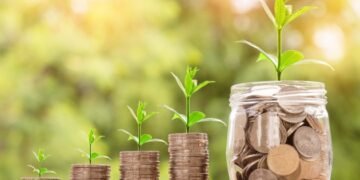 Experto explica cuál es la mejor moneda para mantener los ahorros en 2021