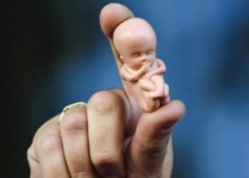 El acceso al aborto en el mundo, unas normas muy dispares según los países