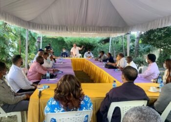 Charlie Mariotti dijo que trabajará duro para levantar las bases del PLD, a quien le debe su carrera politica