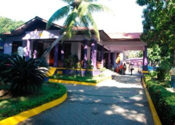 Advierten de plan para elegir al presidente y secretario general del PLD por el Comité Central