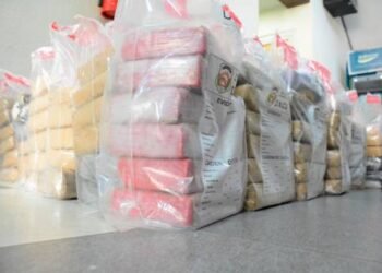 DNCD se incauta de 393 mil gramos de drogas y apresa 3 mil microtraficantes