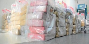 DNCD se incauta de 393 mil gramos de drogas y apresa 3 mil microtraficantes