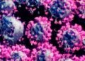 Logran la primera imagen real del virus del COVID-19 en 3 dimensiones