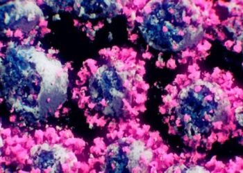 Logran la primera imagen real del virus del COVID-19 en 3 dimensiones