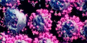 Logran la primera imagen real del virus del COVID-19 en 3 dimensiones