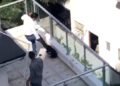 Protección Animal está tras hombre que fue captado pateando un perro