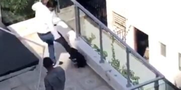 Protección Animal está tras hombre que fue captado pateando un perro