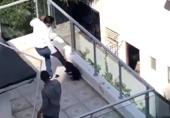 Protección Animal está tras hombre que fue captado pateando un perro